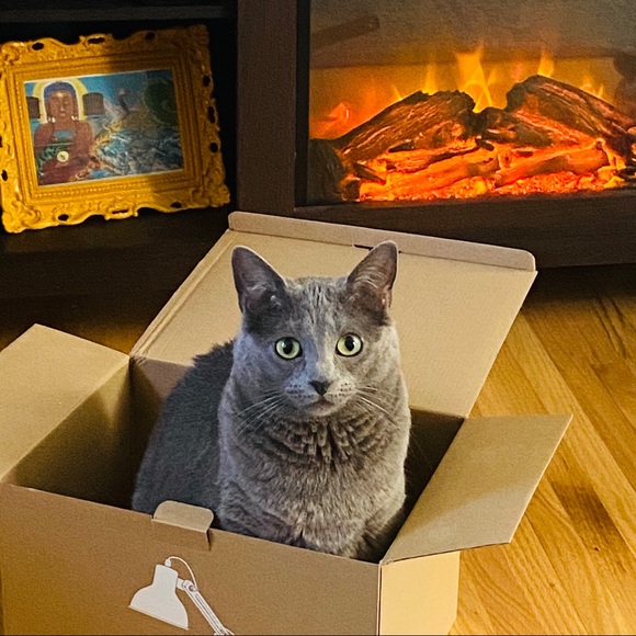 Happy 2021 💕🔥 - Picture 3 of 9